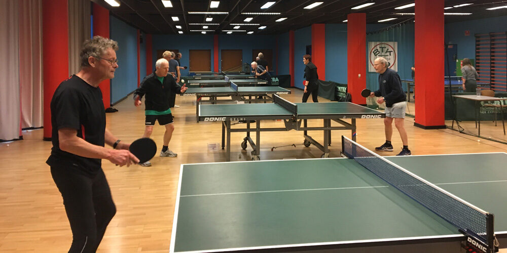 2019-03-19b